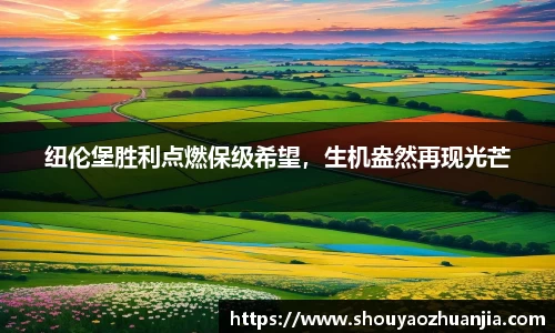 星空体育app