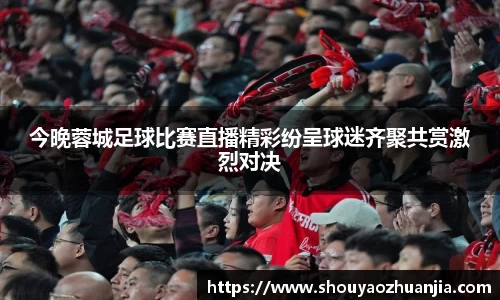 星空体育官网