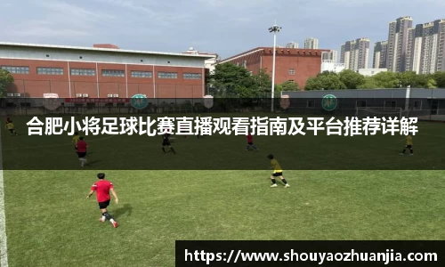 星空体育app